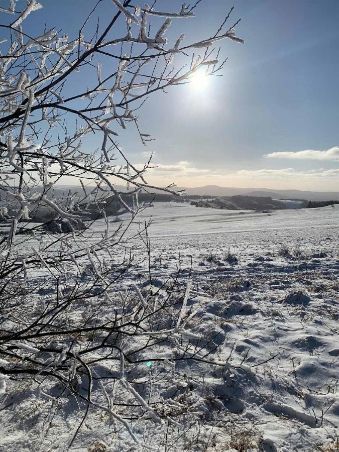 Ferienwohnung Stirnbergblick Ehrenberg  Esterno foto