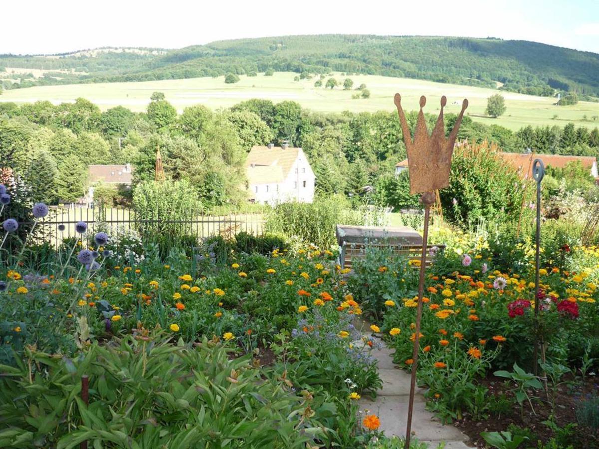 Ferienwohnung Stirnbergblick Ehrenberg  Esterno foto