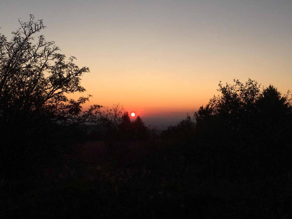 Ferienwohnung Stirnbergblick Ehrenberg  Esterno foto